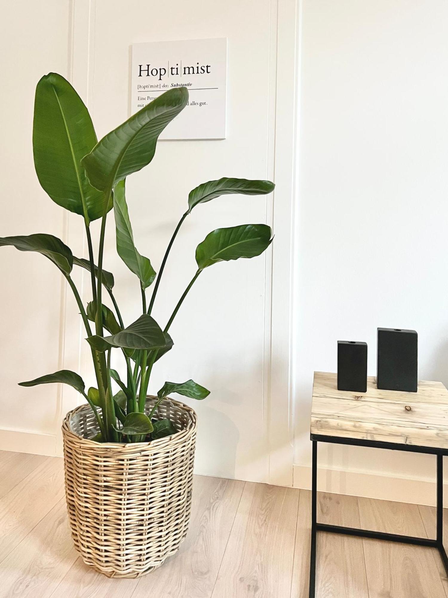 Makers And Rooms Apartment 01 Pauline 110Qm Parkplatz 1-4 Personen Detmold Exterior foto